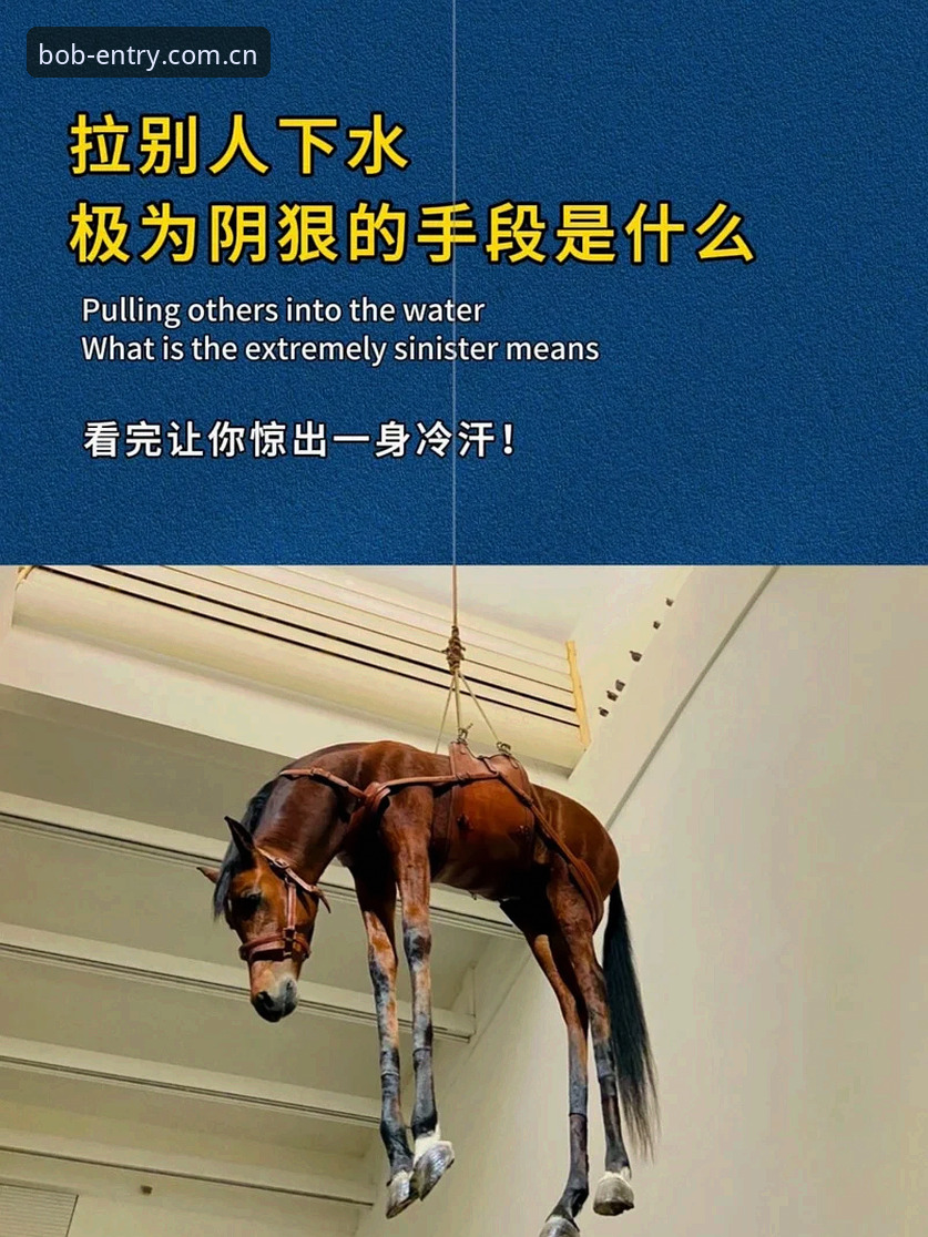 bob半岛体育用户深度解读：从马赛更衣室斗殴看足球管理的决策博弈操作教程